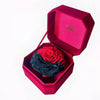 Single Rose Elegance: Luxurious Red Velvet Box Edition - Imaginary Worlds